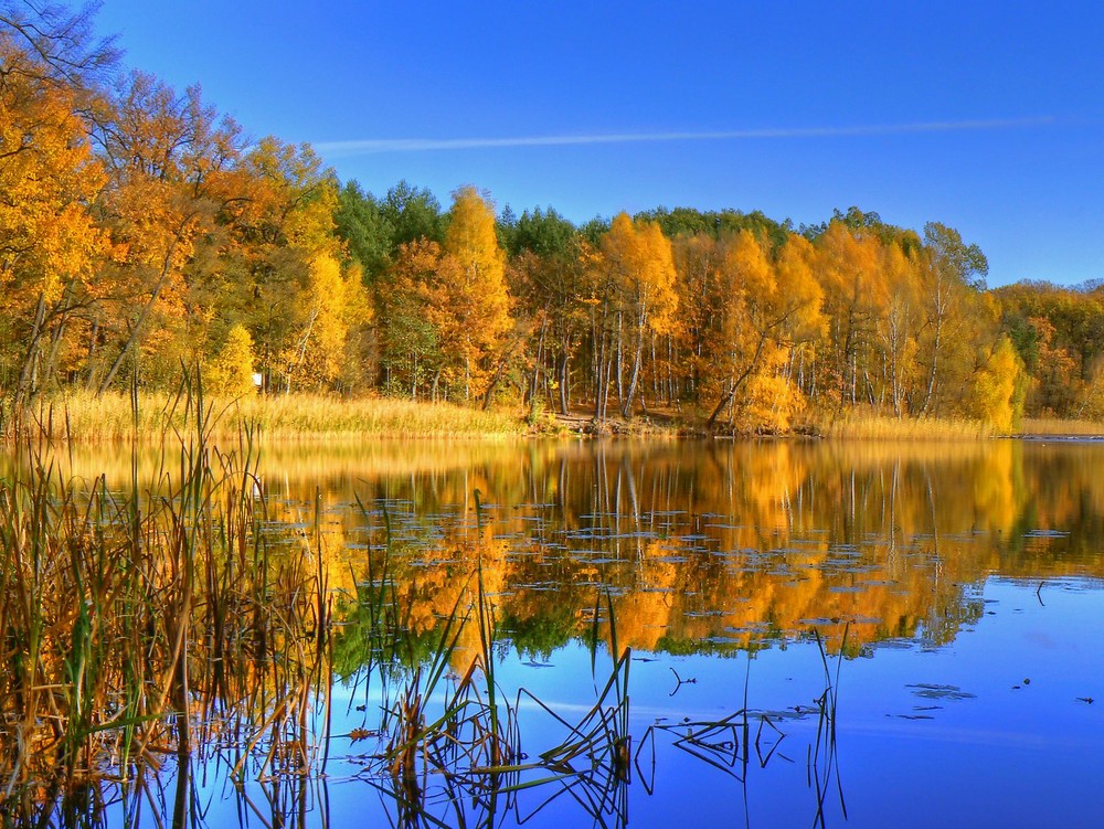 Goldener Herbstag am See