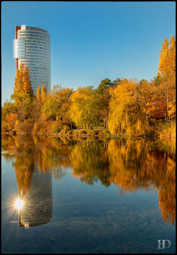 Goldener Herbst_in der Großstadt 