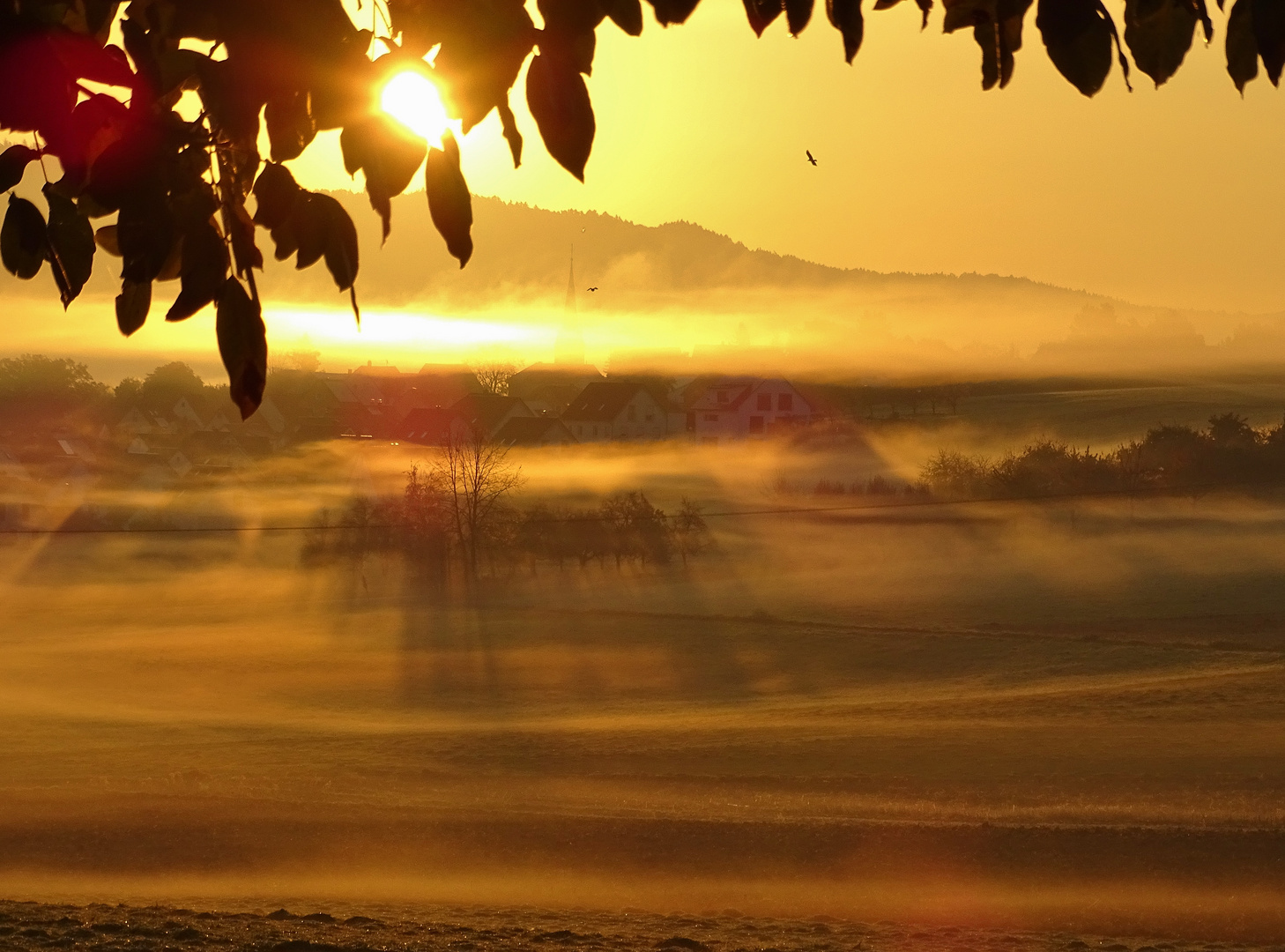 goldener Herbstmorgen...