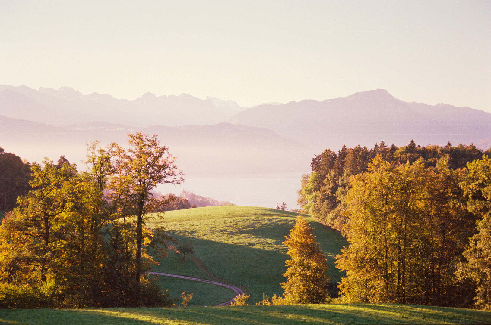 Goldener Herbstmorgen