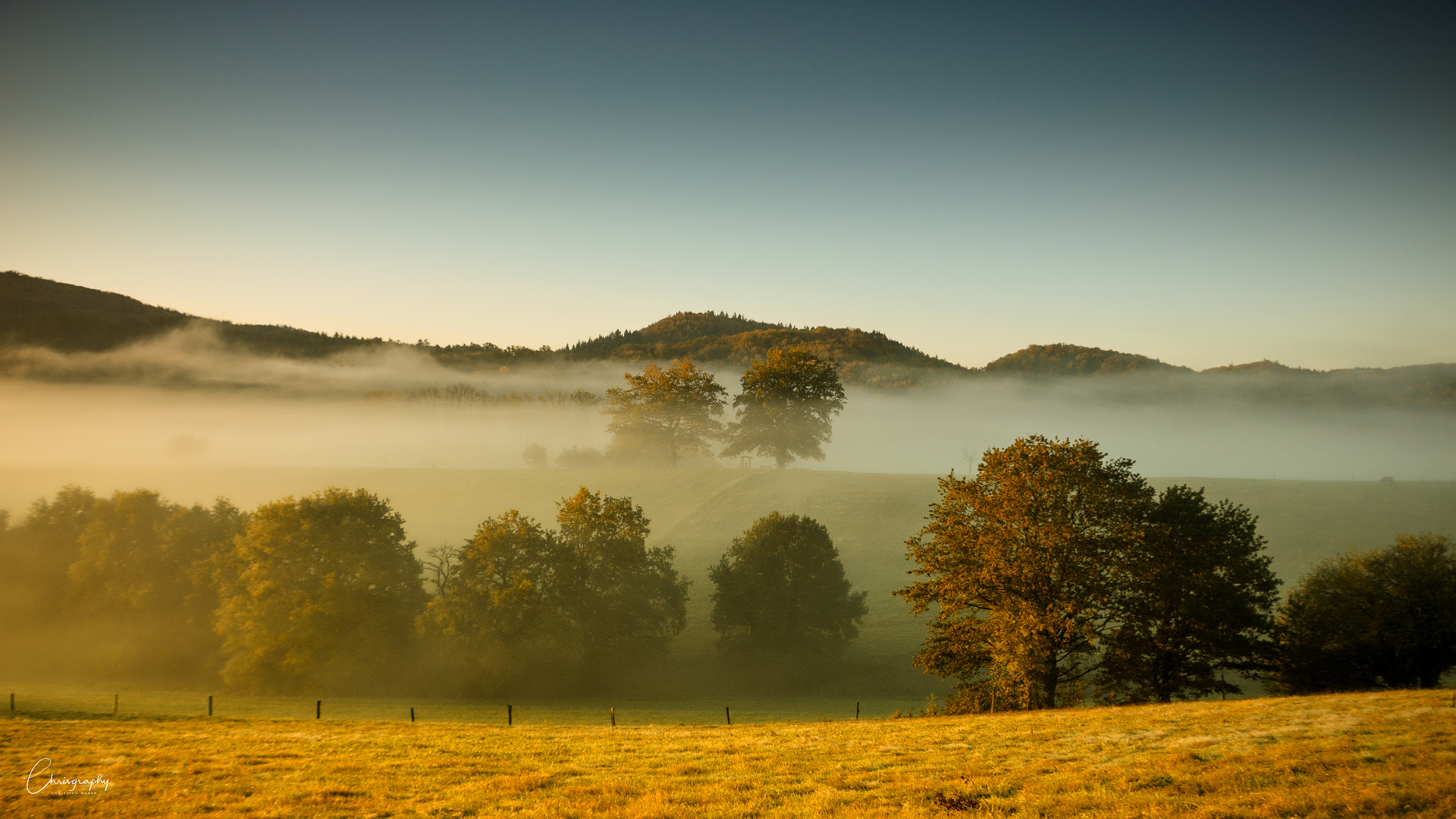 Goldener Herbstmorgen