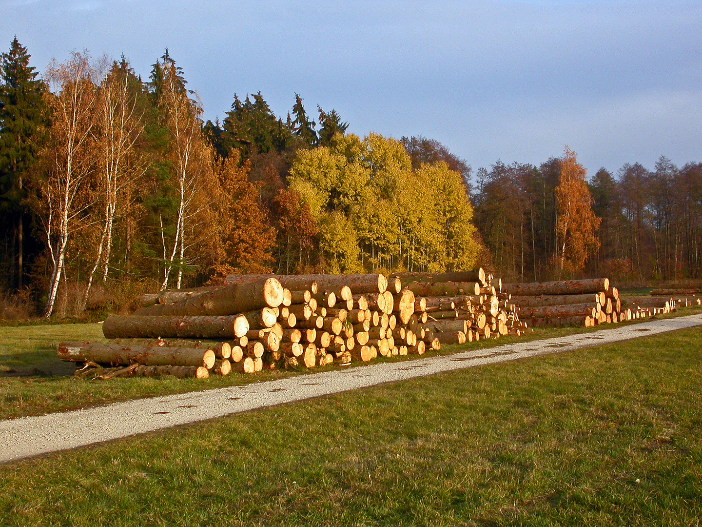 Goldener Herbsttag