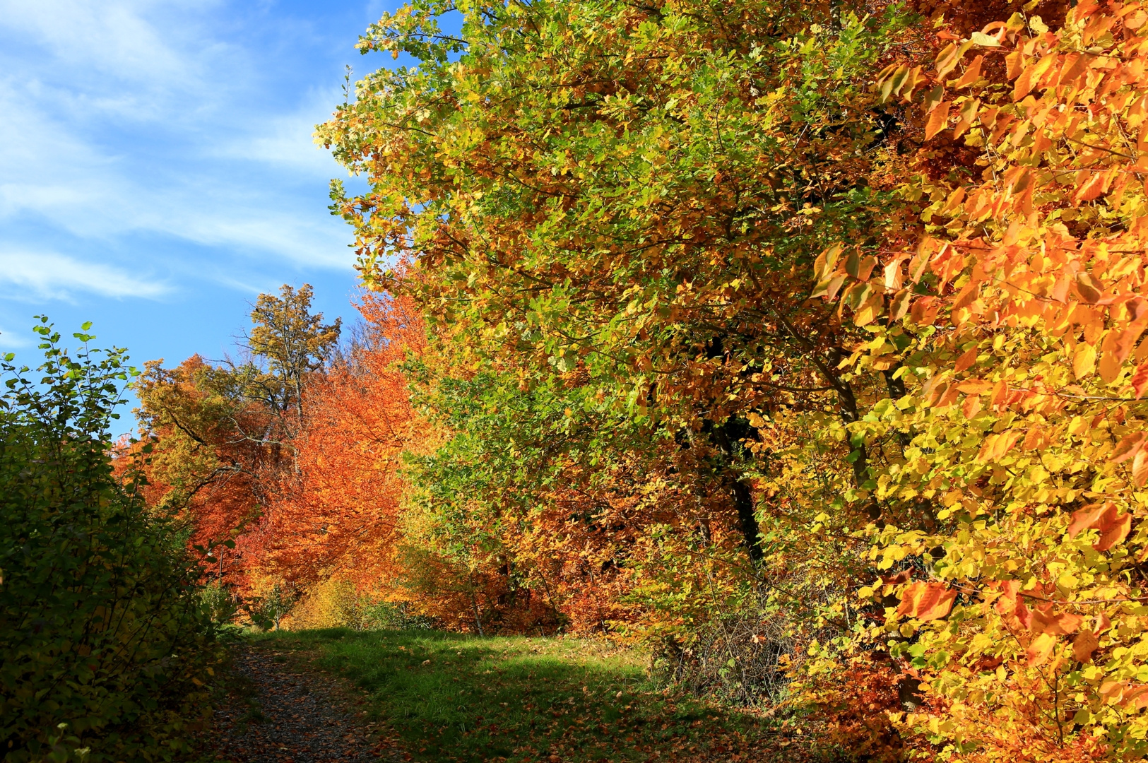 Goldener Herbsttag am 11.11.18