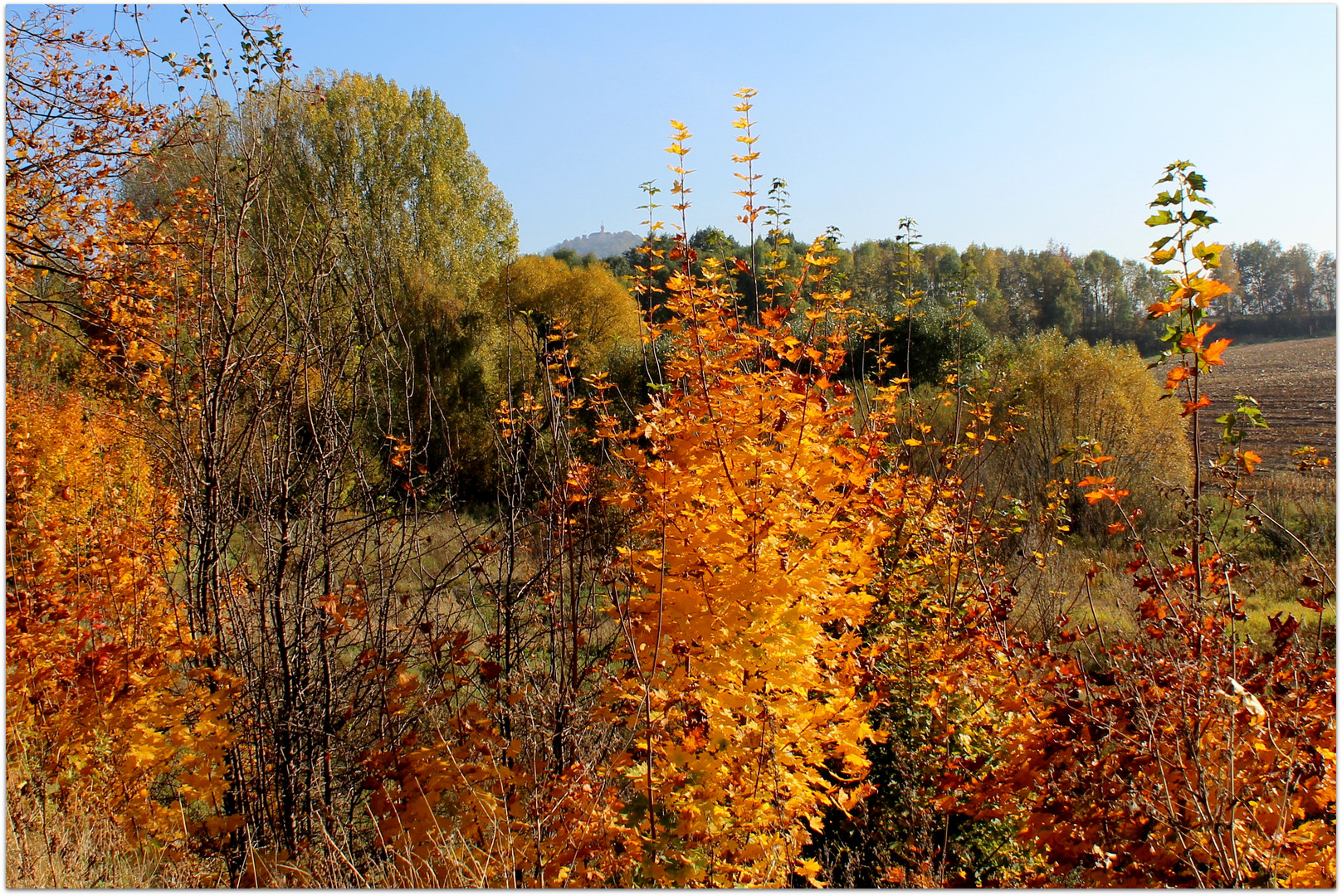 Goldener Herbsttag bei Görlitz