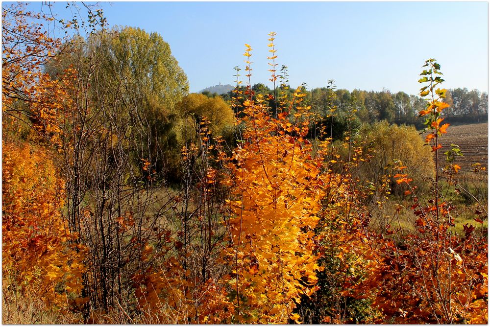 Goldener Herbsttag bei Görlitz