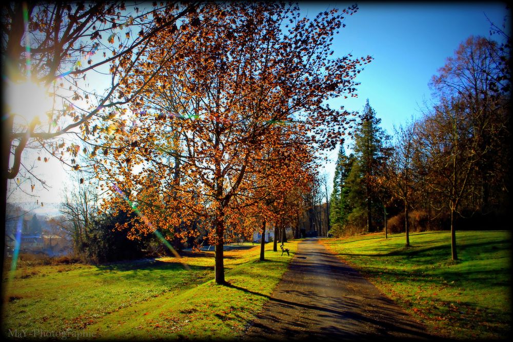 Goldener Herbsttag