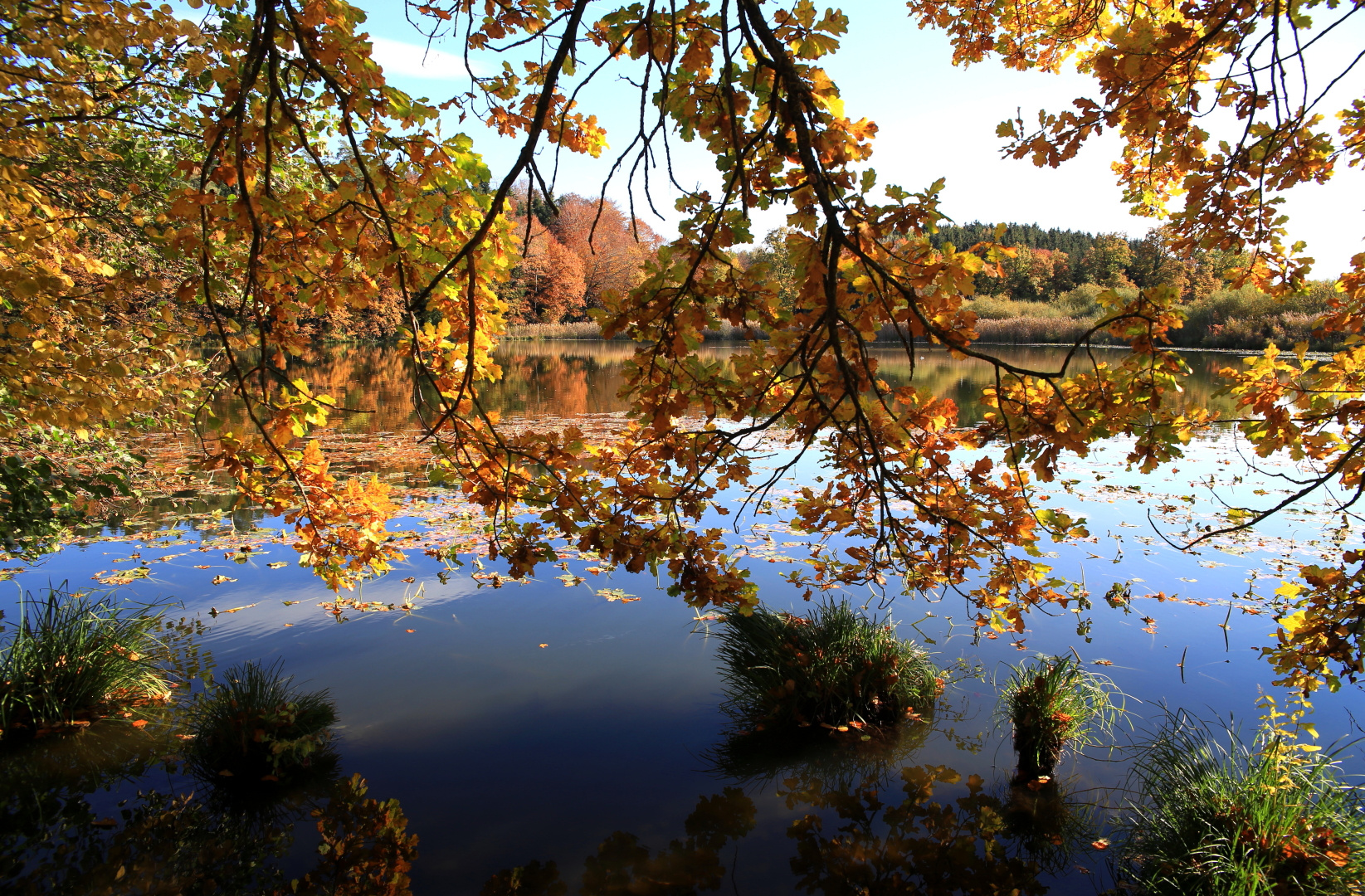 Goldener Herbsttag Ende Oktober