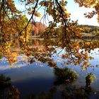 Goldener Herbsttag Ende Oktober