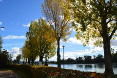Goldener Herbsttag in Breisach am Rhein
