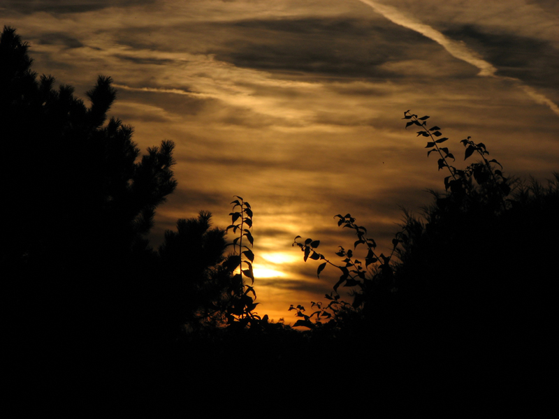 Goldener Himmel