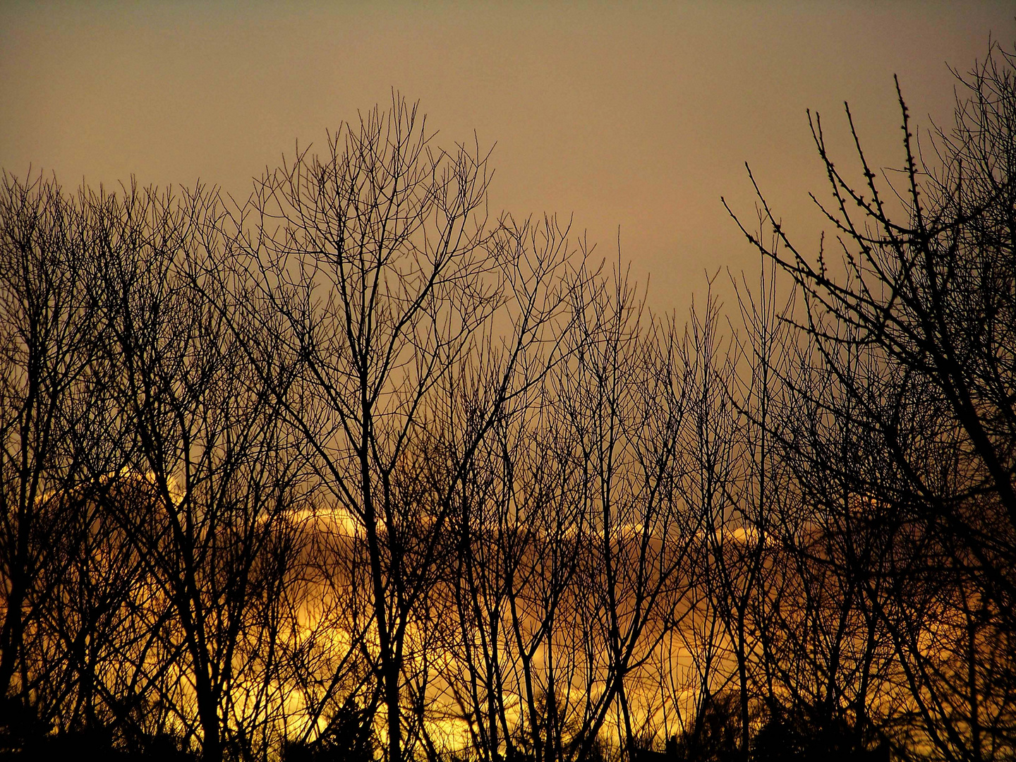 goldener Himmel bevor der Regen kam