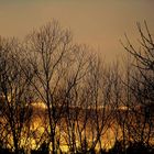 goldener Himmel bevor der Regen kam