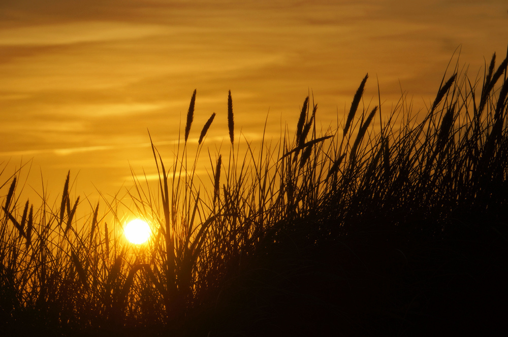 Goldener Himmel über Sylt