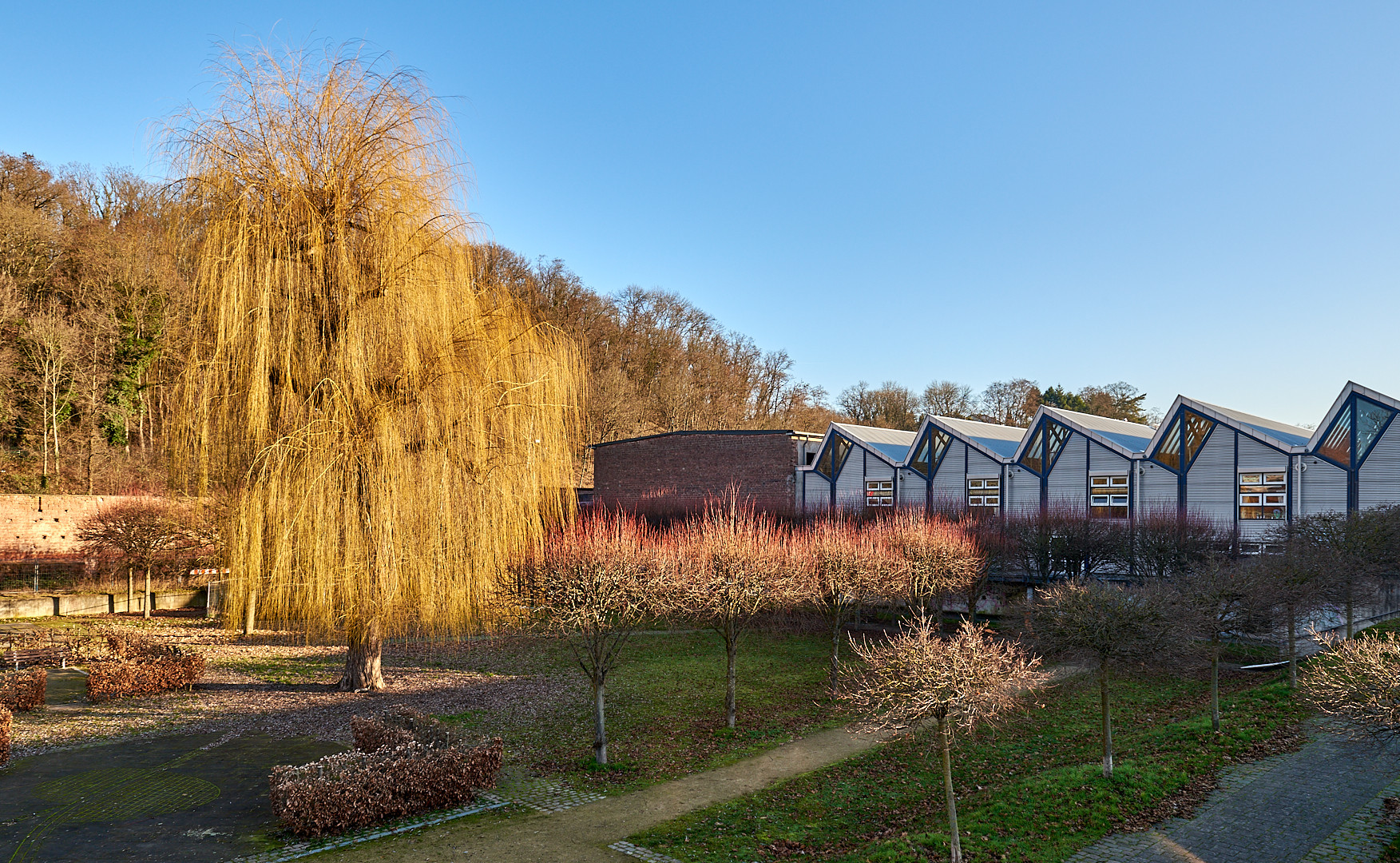 Goldener Januar auf dem Gelände der Fachhochschule in Kaiserslautern. 