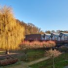 Goldener Januar auf dem Gelände der Fachhochschule in Kaiserslautern. 