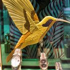 Goldener Kolibri