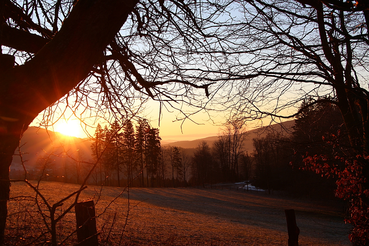 Goldener Märzmorgen