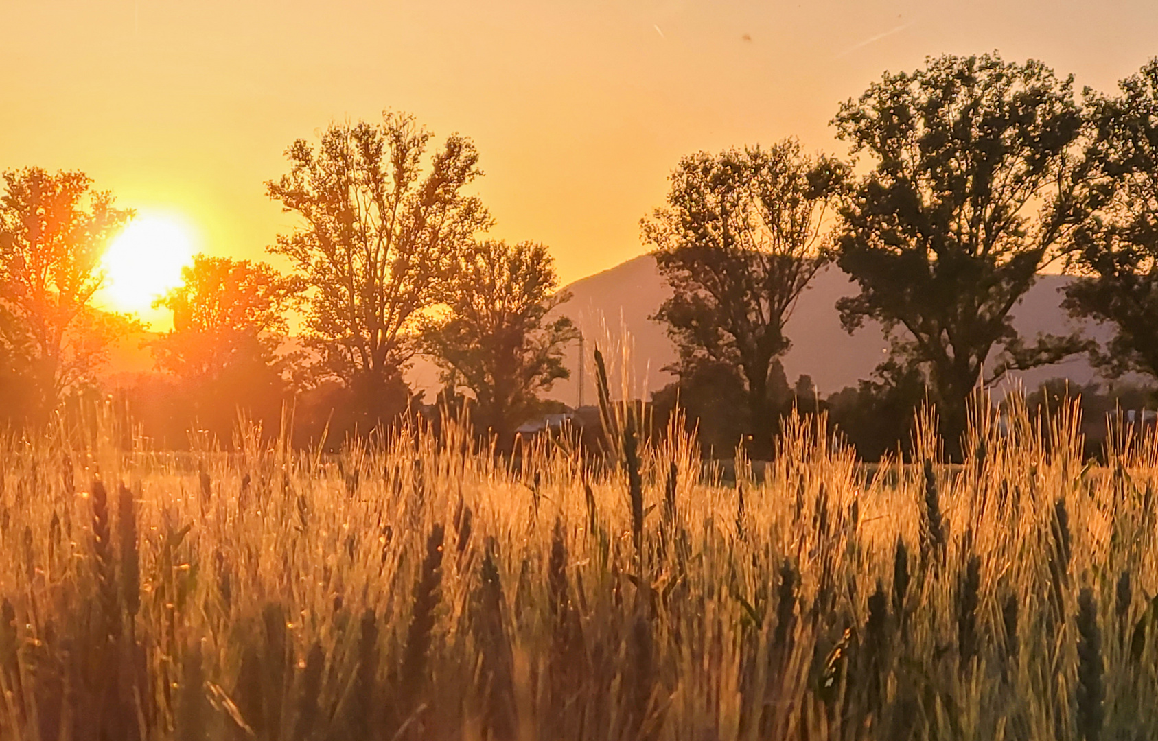 Goldener Mai-Abend