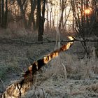 GOLDENER MITTELWEG