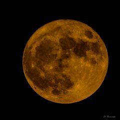 Goldener Mond am 14.11.2016