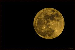 Goldener Mond Original