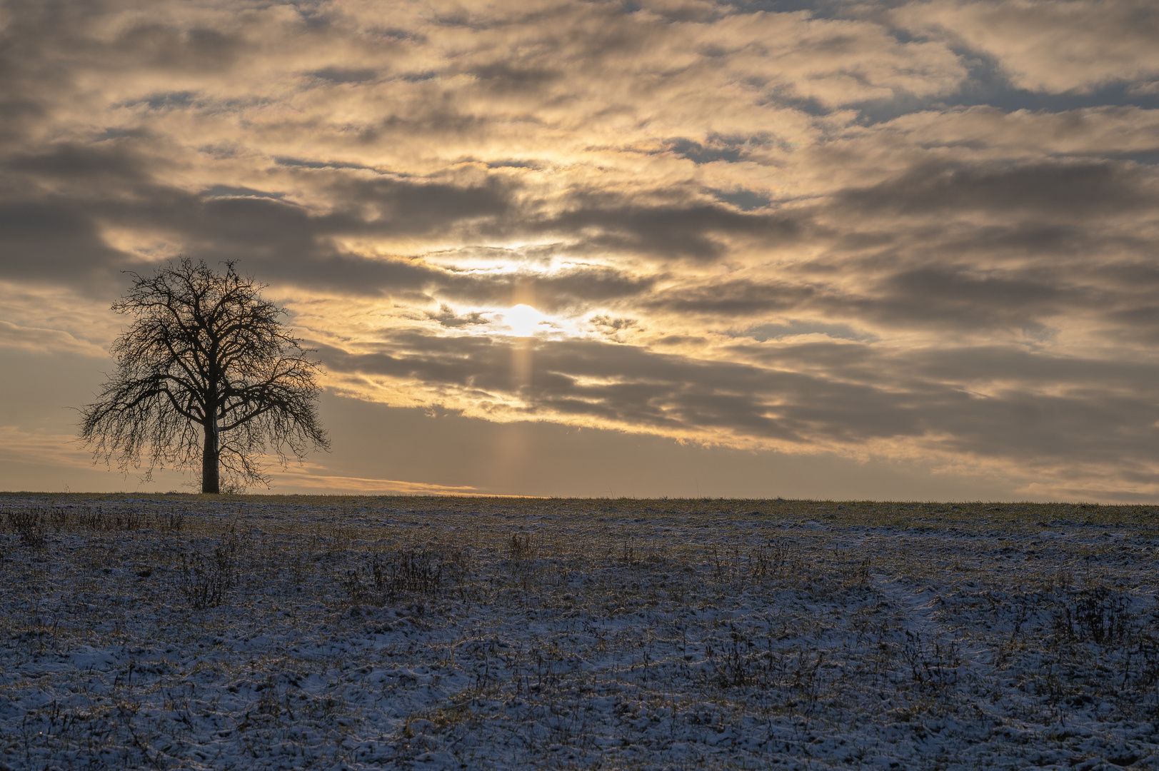 Goldener Morgen