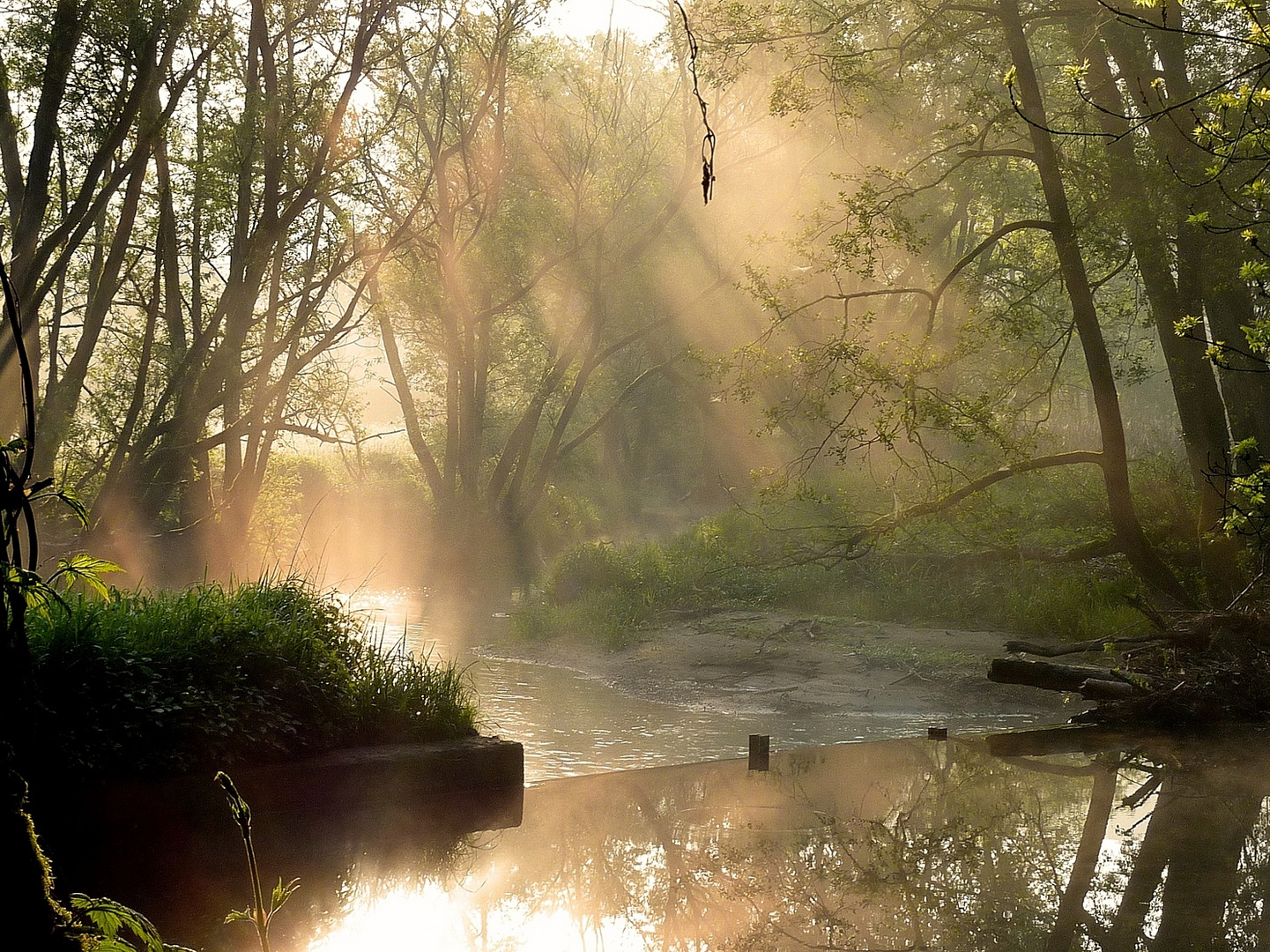 Goldener Morgen