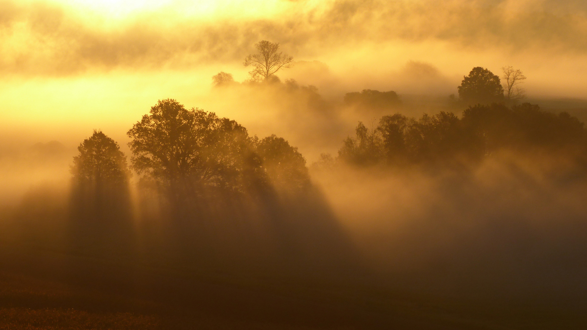 Goldener Morgen