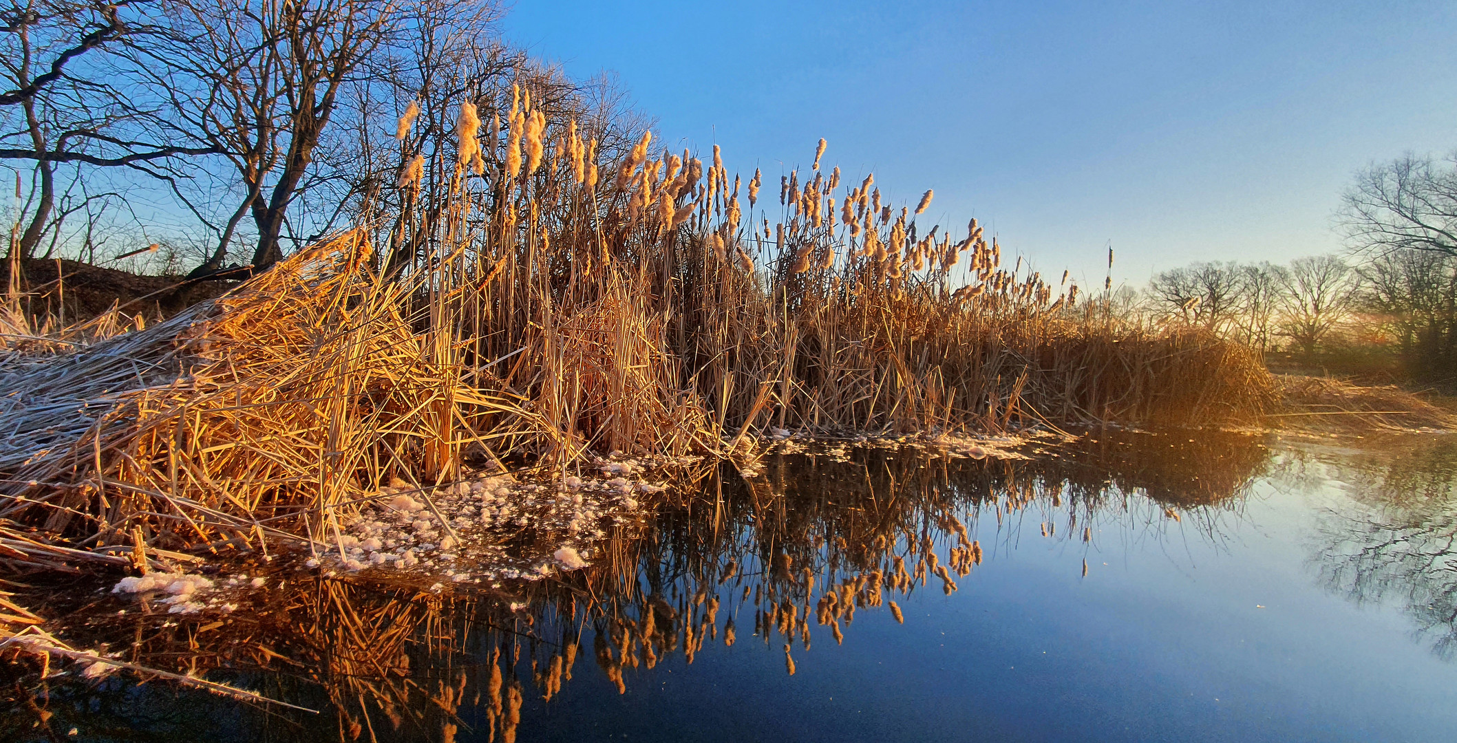 Goldener Morgen