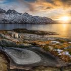 Goldener Morgen auf den Lofoten