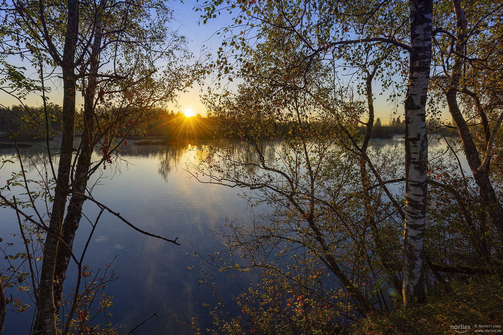 Goldener Morgen