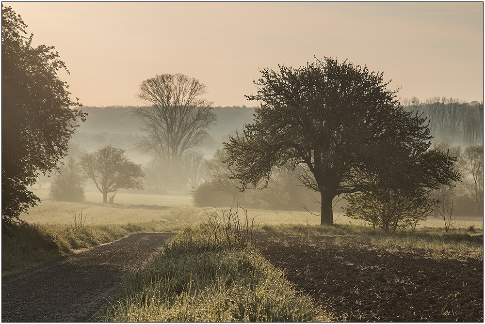 Goldener Morgen