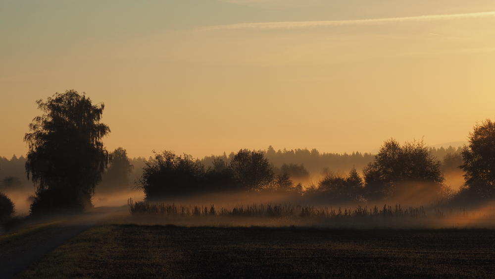 Goldener Morgen