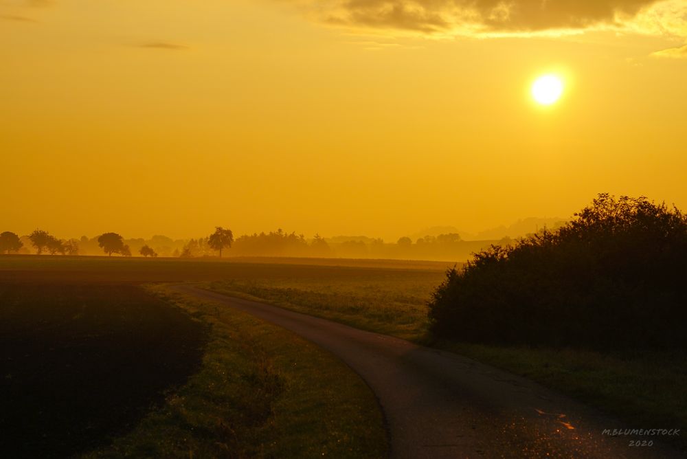 GOLDENER MORGEN II