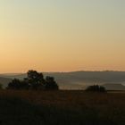 Goldener Morgen im Bergischen Land