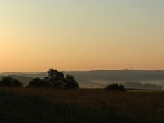 Goldener Morgen im Bergischen Land