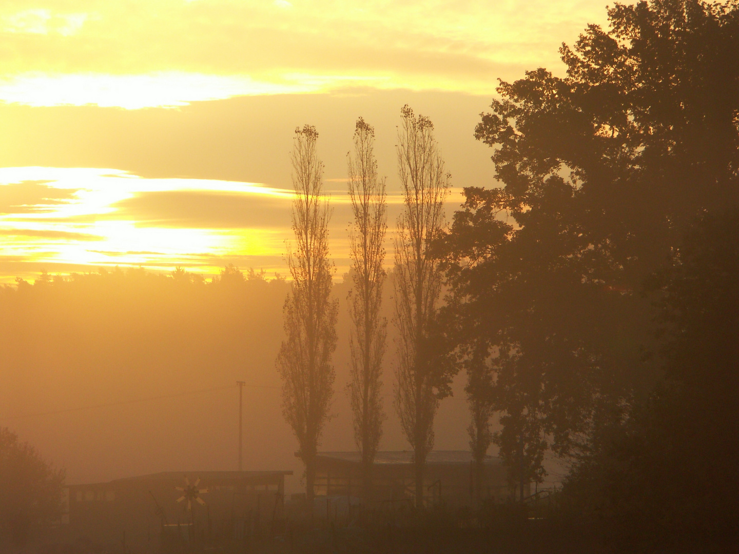 Goldener Morgen oder "Morgenstund hat ..."