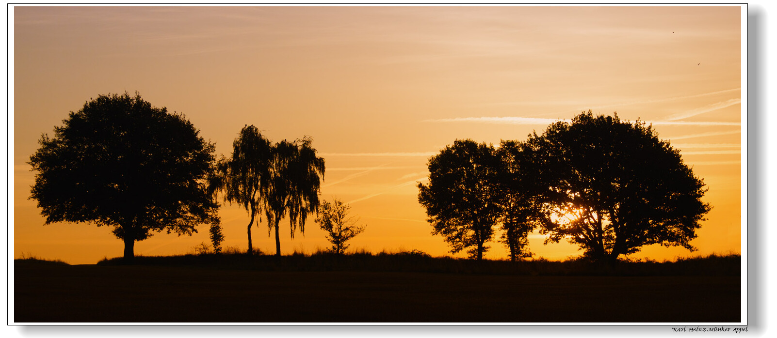 Goldener Morgen_2