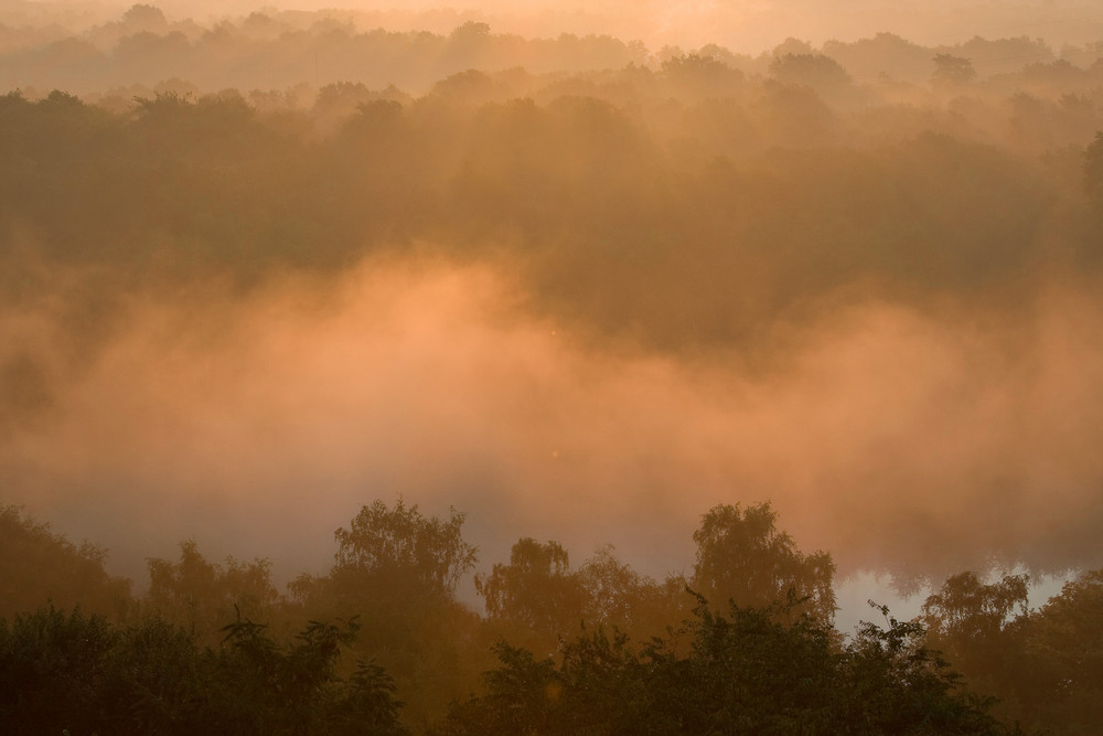 Goldener Morgennebel