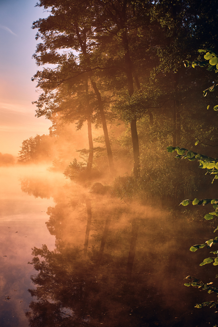 Goldener Morgennebel über dem Angelsee