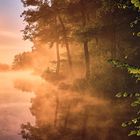 Goldener Morgennebel über dem Angelsee