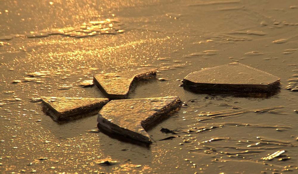 goldener Muldestausee