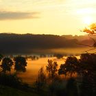 goldener Nebel