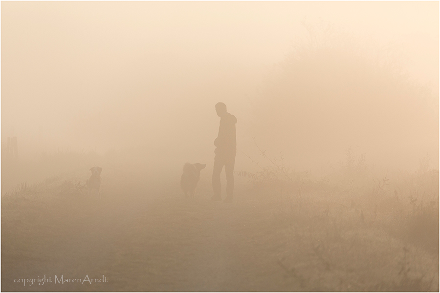 Goldener Nebel