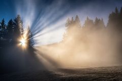 ~ GOLDENER NEBEL ~