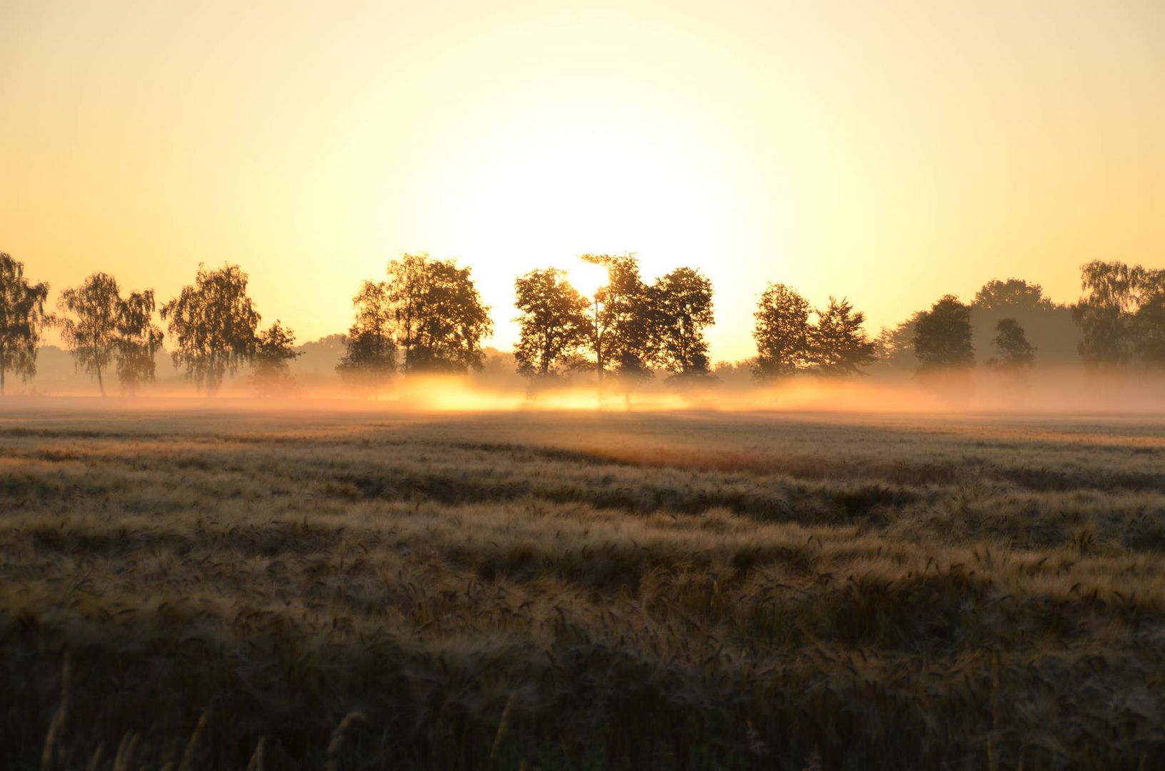 Goldener Nebel