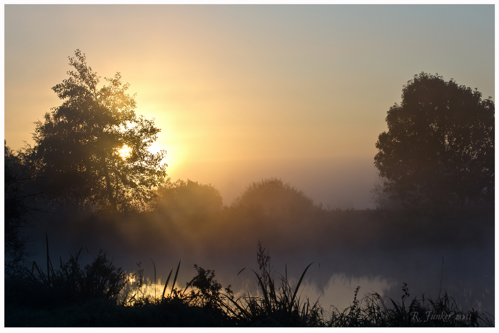 goldener Nebel