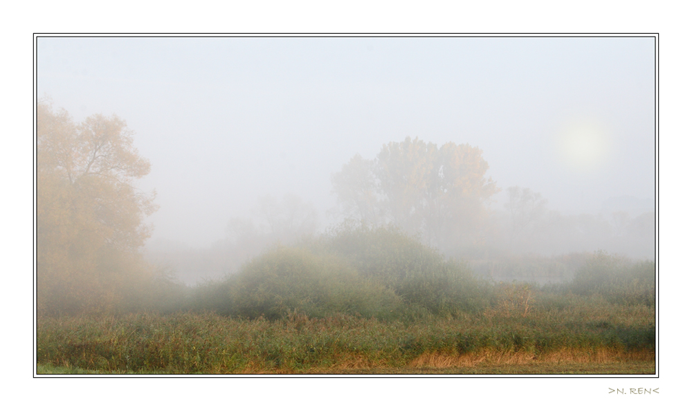 Goldener Nebelmorgen