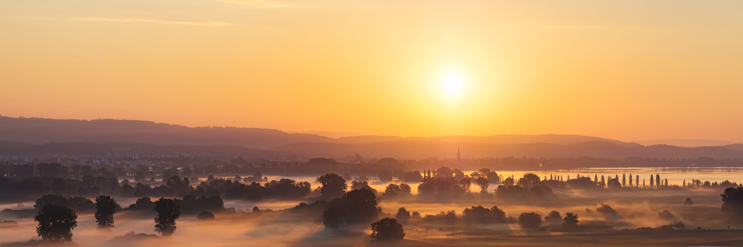 goldener Nebelmorgen