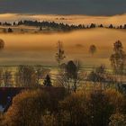 Goldener Nebelschleier